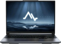 Игровой ноутбук Maibenben X-Treme Typhoon X16C X16C-i737560FERLG4E10