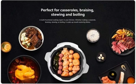 Мультиварка-скороварка Xiaomi Electric Pressure Cooker 4.8L MYL02-1 (евровилка)