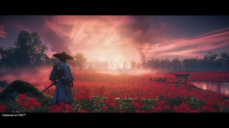 Ghost of Tsushima Director's Cut [PS5] (EU pack, RU version)