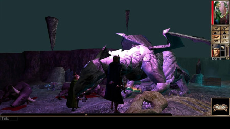 Neverwinter Nights: Enhanced Edition [PS4] (EU pack, EN version)
