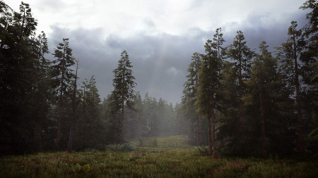 Hunting Simulator 2 для PS4 (русские субтитры)