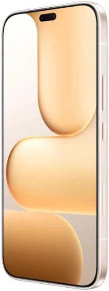 Смартфон HONOR 600 Lite 8GB/256GB международная версия (пустынное золото)