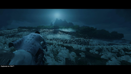 Ghost of Tsushima Director's Cut [PS5] (EU pack, RU version)
