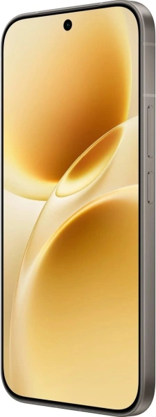 Vivo V70 V2538 8GB/256GB международная версия (серый)