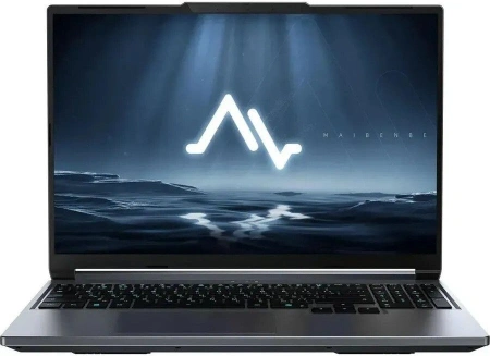Игровой ноутбук Maibenben X-Treme Typhoon X16C X16C-i737560FERLG4E10
