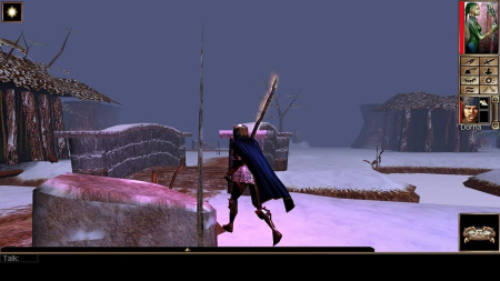 Neverwinter Nights: Enhanced Edition [PS4] (EU pack, EN version)
