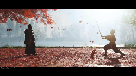 Ghost of Tsushima Director's Cut [PS5] (EU pack, RU version)