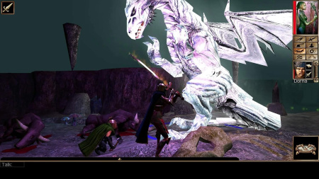 Neverwinter Nights: Enhanced Edition [PS4] (EU pack, EN version)