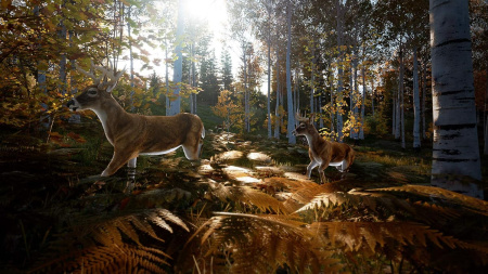 Hunting Simulator 2 для PS4 (русские субтитры)