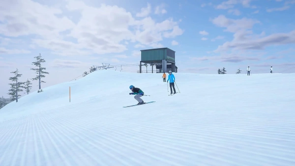 Alpine - The Simulation Game для PS4 (английская версия)