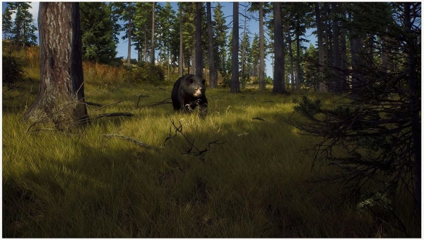 Way of the Hunter для PS5 (русские субтитры)