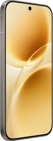 Vivo V70 V2538 8GB/256GB международная версия (серый)