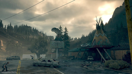 Days Gone для PS4 (русская версия)