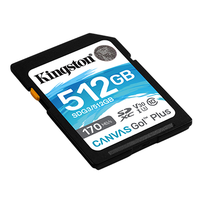 Карта памяти 512GB Kingston SDG3/512GB