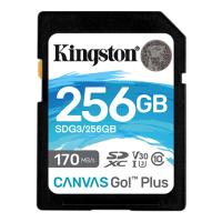 Карта памяти 256GB Kingston SDG3/256GB