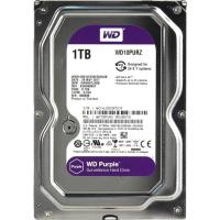 Жёсткий диск WD Purple WD10PURZ 1ТБ 3,5" 5400RPM 64MB (SATA-III) DV&NVR