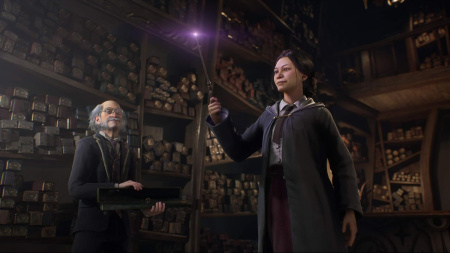Hogwarts Legacy для PS4 (русские субтитры)