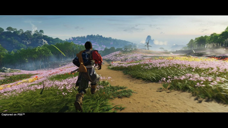 Ghost of Tsushima Director's Cut для PS5 (русская версия)