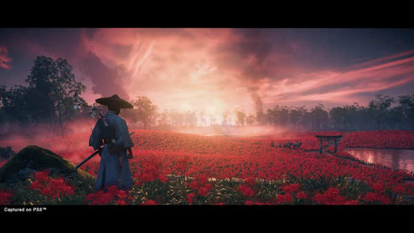 Ghost of Tsushima Director's Cut [PS5] (EU pack, RU version)
