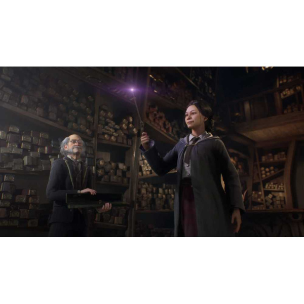 Hogwarts Legacy [PS4] (EU pack, RU subtitles)