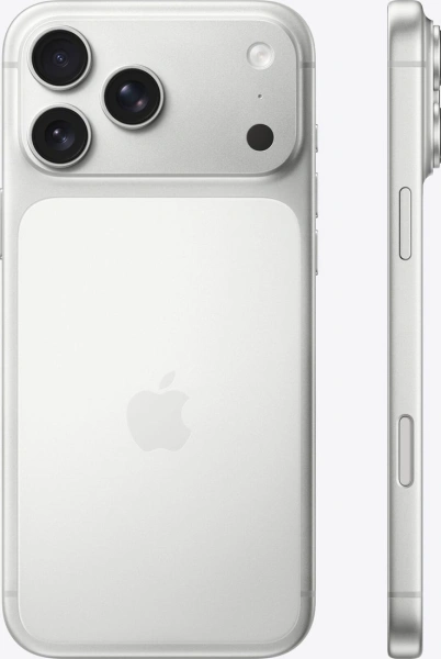 Телефон Apple iPhone 17 Pro Max 256GB (серебристый)