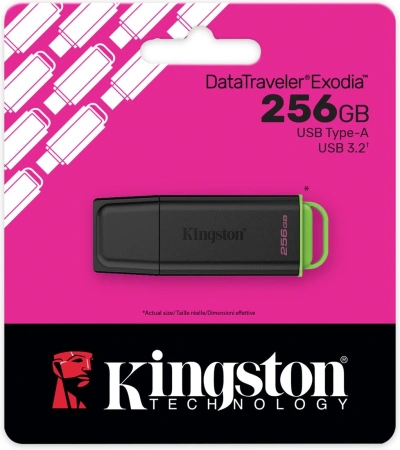 Флешка Kingston DataTraveler Exodia 256GB DTXG2/256GB