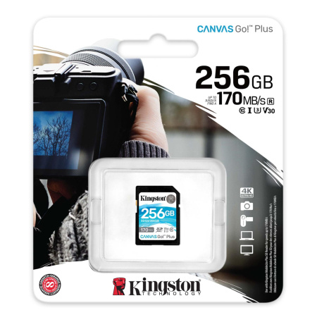 Карта памяти Kingston 256GB Canvas Go! Plus SDXC