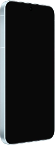 Смартфон Vivo X300 V2515 12GB/256GB международная версия (голубой)