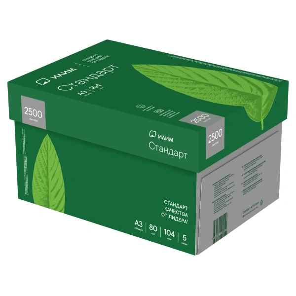 Бумага ИЛИМ Стандарт А4, 500л, класс С (5 пачек в коробке)