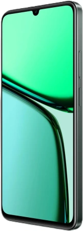 Смартфон Realme C61 6GB/128GB RMX3930 (темно-зеленый)