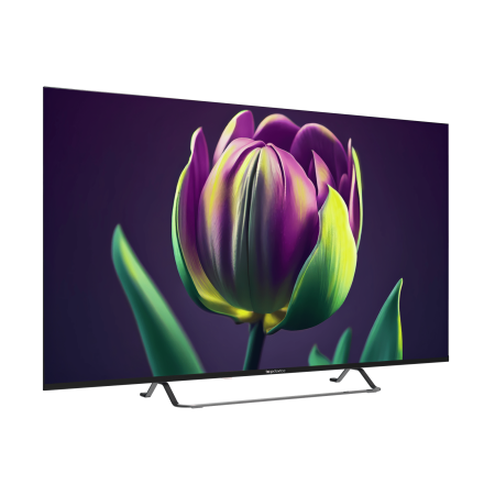 Телевизор Topdevice TDTV50CS06U_BK (50", Smart TV (WildRed), Wi-Fi, Bluetooth, черный)