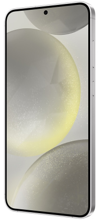 Смартфон Samsung Galaxy S24+ 12Gb/256Gb (серый)