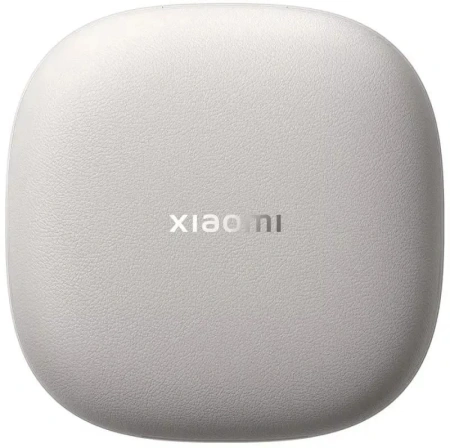 Наушники Xiaomi OpenWear Stereo Pro M2503E1 (титановый серый)