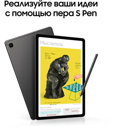 Планшет Samsung Galaxy Tab S6 Lite 2024 Wi-Fi 4GB/64GB (серый)