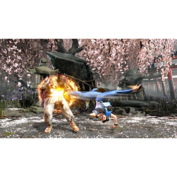 Street Fighter 6 [PS4] (EU pack, RU subtitles)