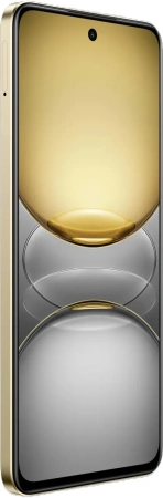 Смартфон Realme C75 8GB/256GB RMX3941 (золотистый)