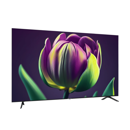 Телевизор Topdevice ULTRA NEO CS06 TDTV75CS06U_BK (75”, Smart TV (WildRed), Wi-Fi, Bluetooth, Ethernet, черный)