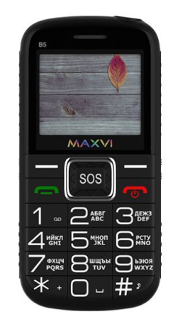 Кнопочный мобильный телефон Maxvi B5 (черный)