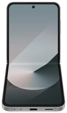 Смартфон Samsung Galaxy Flip6 12/256Gb (Серый)
