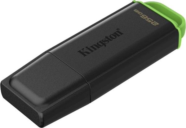 Флешка Kingston DataTraveler Exodia 256GB DTXG2/256GB