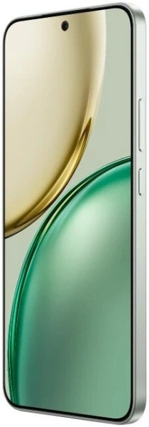 Смартфон HONOR X9d 12GB/256GB MTN-NX1 Forest Green (5109BYPV)