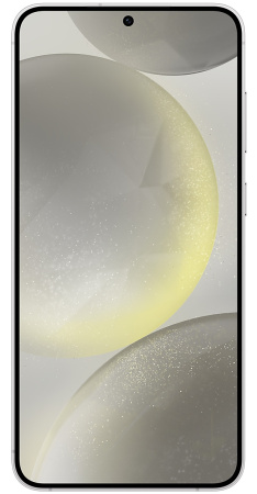 Смартфон Samsung Galaxy S24+ 12Gb/256Gb (серый)
