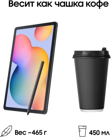 Планшет Samsung Galaxy Tab S6 Lite 2024 Wi-Fi 4GB/64GB (серый)