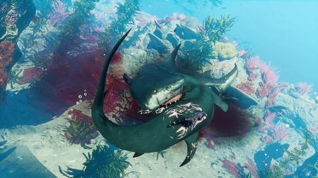 Maneater для Xbox One (русская версия)